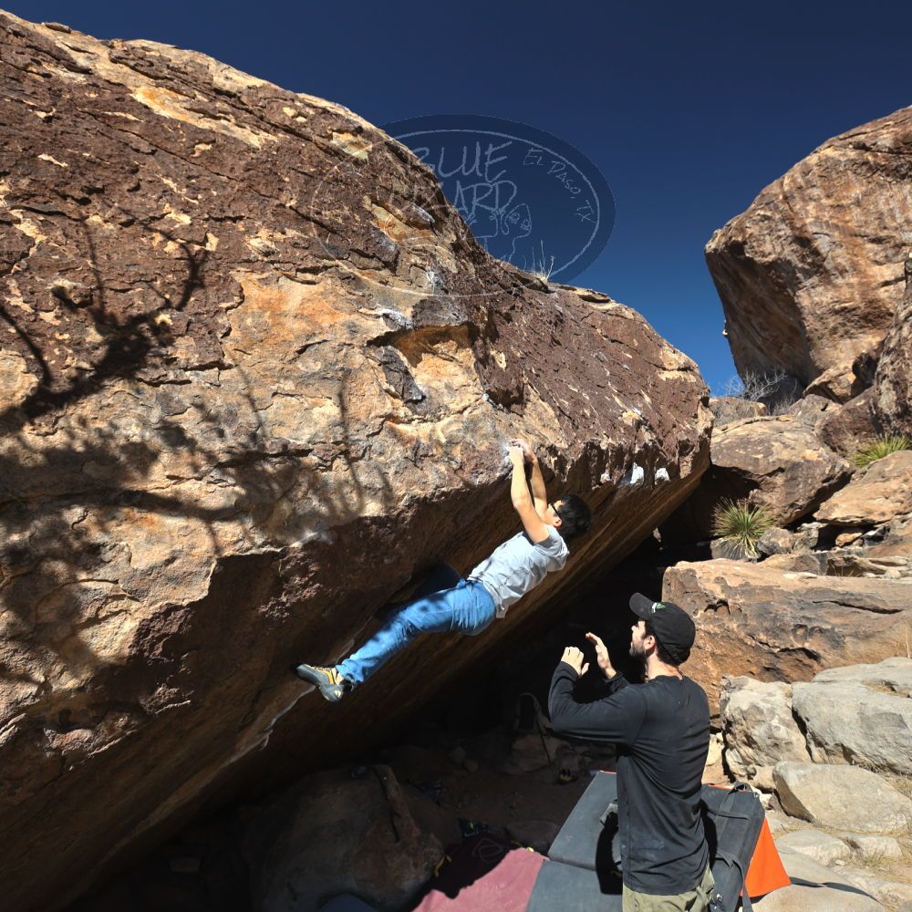 

Filename: SRM_20220213_1406030.jpg
Aperture: f/5.6
Shutter Speed: 1/500
Body: Canon EOS R6
Lens: Canon EF 16-35mm f/2.8 L