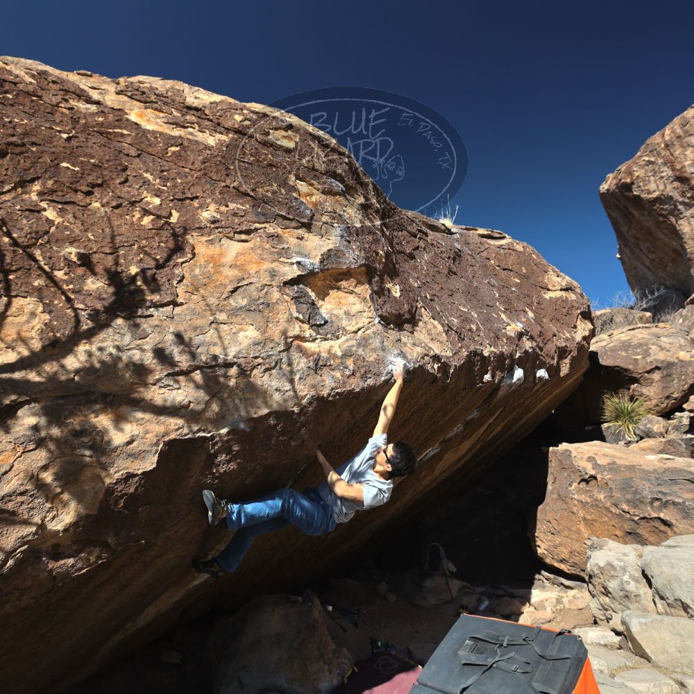 

Filename: SRM_20220213_1415170.jpg
Aperture: f/5.6
Shutter Speed: 1/500
Body: Canon EOS R6
Lens: Canon EF 16-35mm f/2.8 L