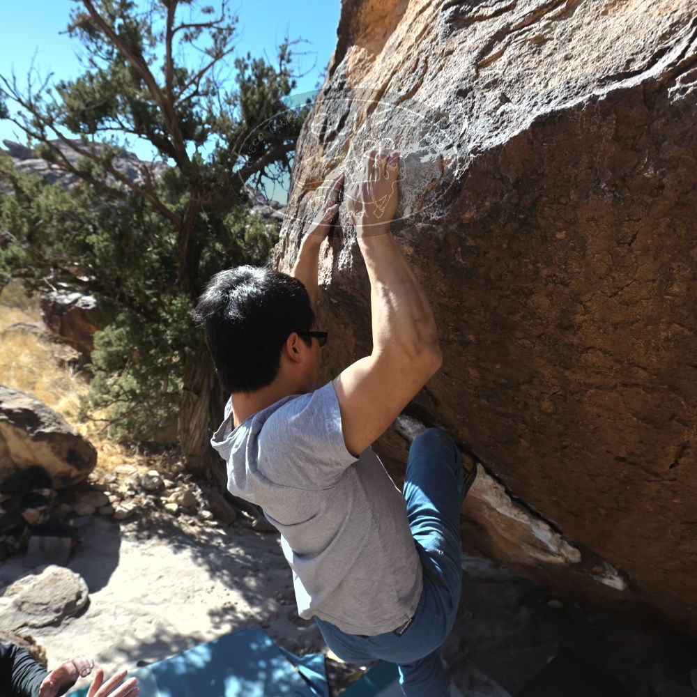 

Filename: SRM_20220213_1422010.jpg
Aperture: f/5.6
Shutter Speed: 1/500
Body: Canon EOS R6
Lens: Canon EF 16-35mm f/2.8 L