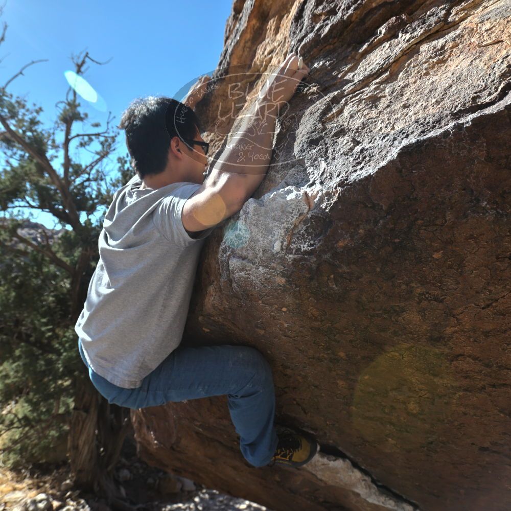 

Filename: SRM_20220213_1425471.jpg
Aperture: f/5.6
Shutter Speed: 1/500
Body: Canon EOS R6
Lens: Canon EF 16-35mm f/2.8 L