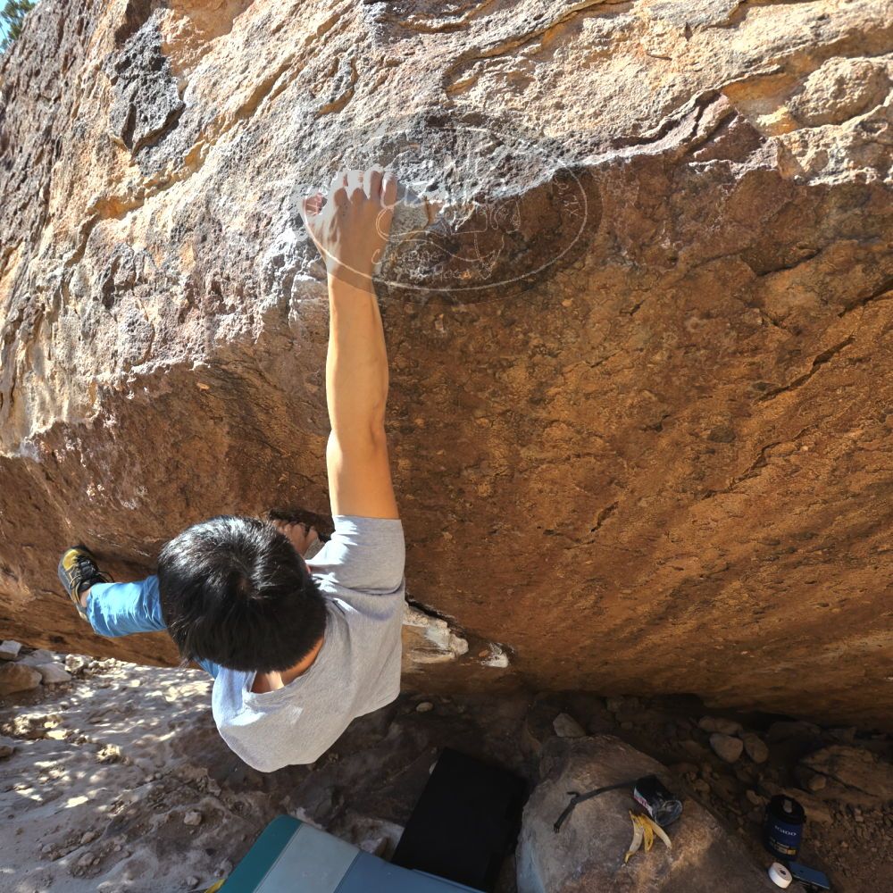 

Filename: SRM_20220213_1439000.jpg
Aperture: f/5.6
Shutter Speed: 1/500
Body: Canon EOS R6
Lens: Canon EF 16-35mm f/2.8 L