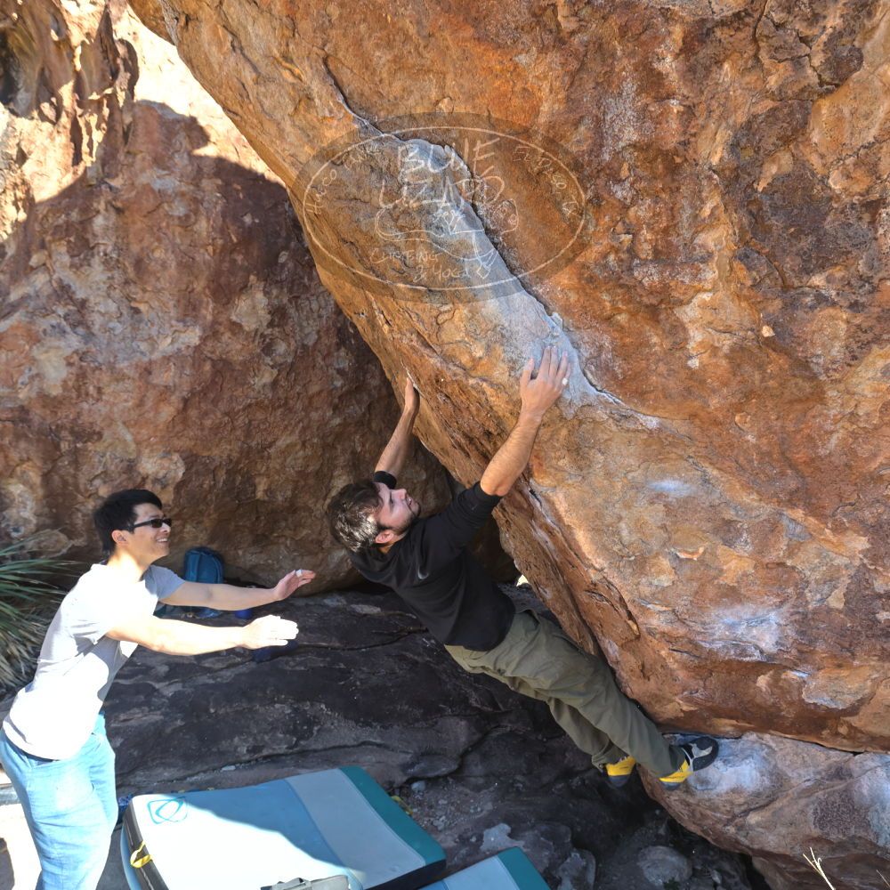 

Filename: SRM_20220213_1530250.jpg
Aperture: f/5.6
Shutter Speed: 1/500
Body: Canon EOS R6
Lens: Canon EF 16-35mm f/2.8 L