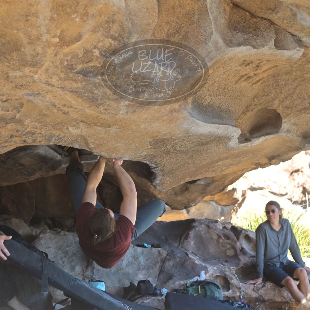 

Filename: SRM_20220220_1417010.jpg
Aperture: f/4.0
Shutter Speed: 1/500
Body: Canon EOS R6
Lens: Canon EF 50mm f/1.8 II