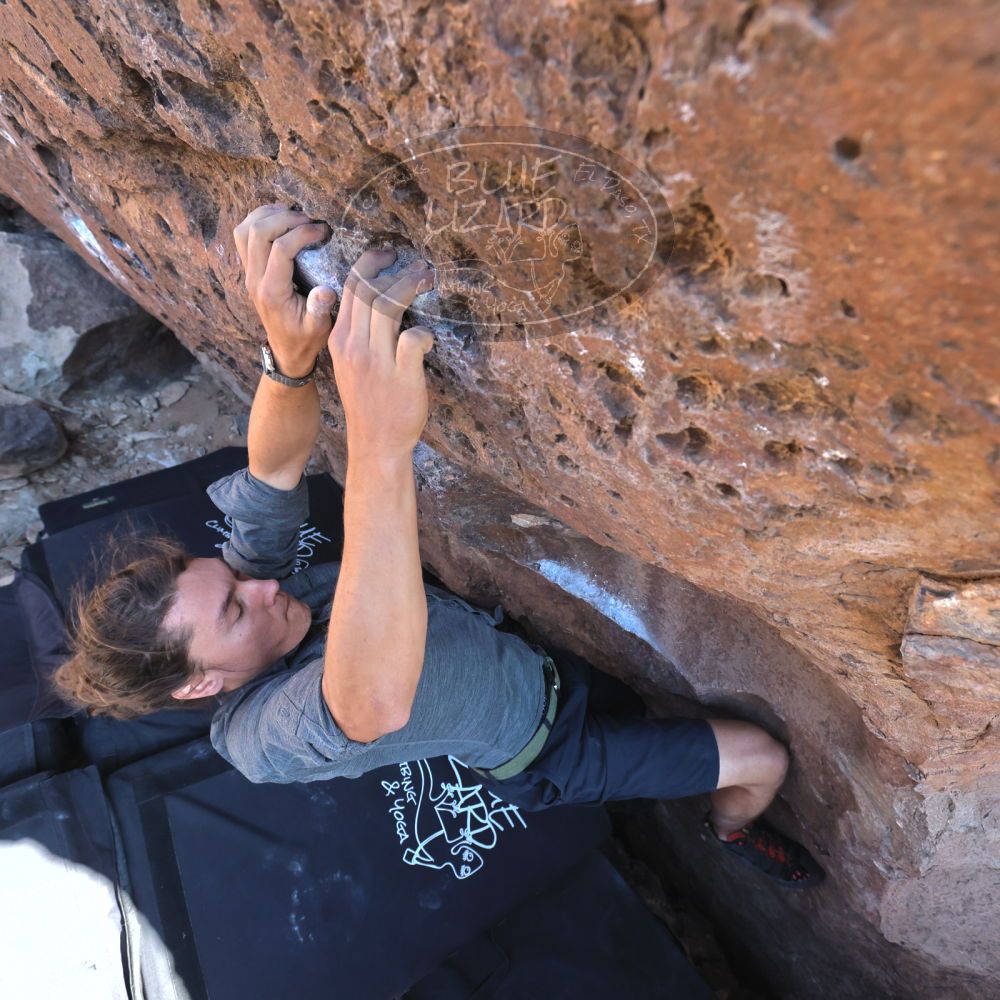 

Filename: SRM_20220220_1515200.jpg
Aperture: f/5.6
Shutter Speed: 1/400
Body: Canon EOS R6
Lens: Canon EF 16-35mm f/2.8 L