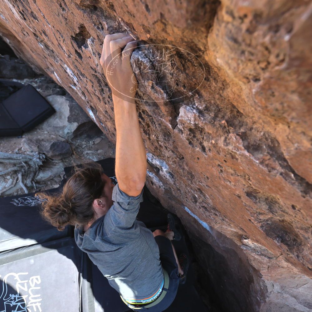 

Filename: SRM_20220220_1515240.jpg
Aperture: f/5.6
Shutter Speed: 1/400
Body: Canon EOS R6
Lens: Canon EF 16-35mm f/2.8 L