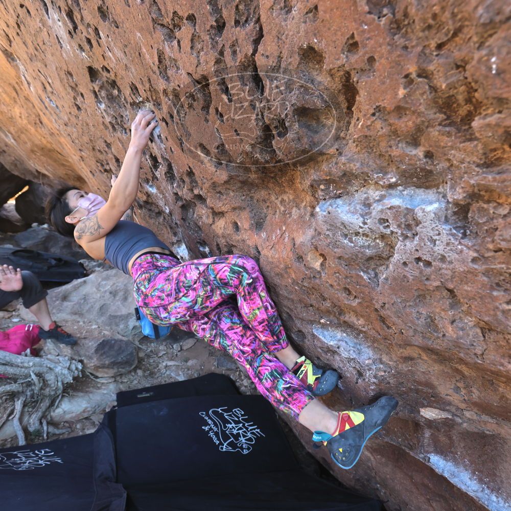 

Filename: SRM_20220220_1517510.jpg
Aperture: f/5.6
Shutter Speed: 1/400
Body: Canon EOS R6
Lens: Canon EF 16-35mm f/2.8 L