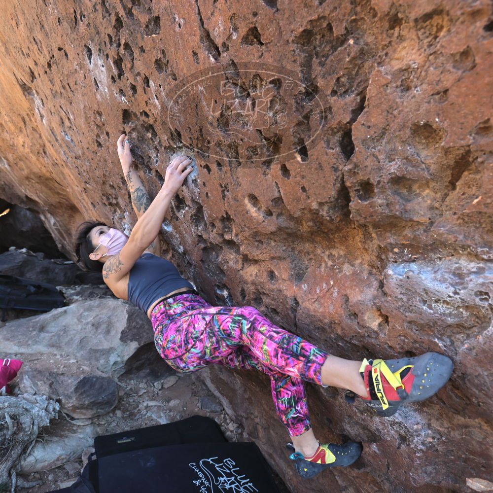 

Filename: SRM_20220220_1517570.jpg
Aperture: f/5.6
Shutter Speed: 1/400
Body: Canon EOS R6
Lens: Canon EF 16-35mm f/2.8 L