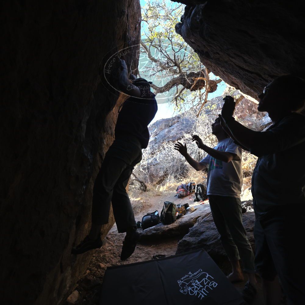 

Filename: SRM_20220220_1651480.jpg
Aperture: f/5.6
Shutter Speed: 1/400
Body: Canon EOS R6
Lens: Canon EF 16-35mm f/2.8 L