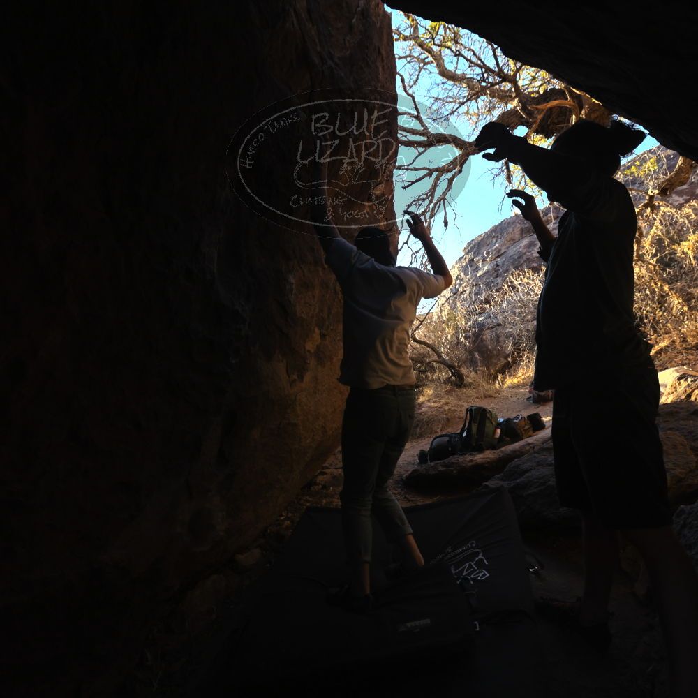 

Filename: SRM_20220220_1702220.jpg
Aperture: f/5.6
Shutter Speed: 1/400
Body: Canon EOS R6
Lens: Canon EF 16-35mm f/2.8 L