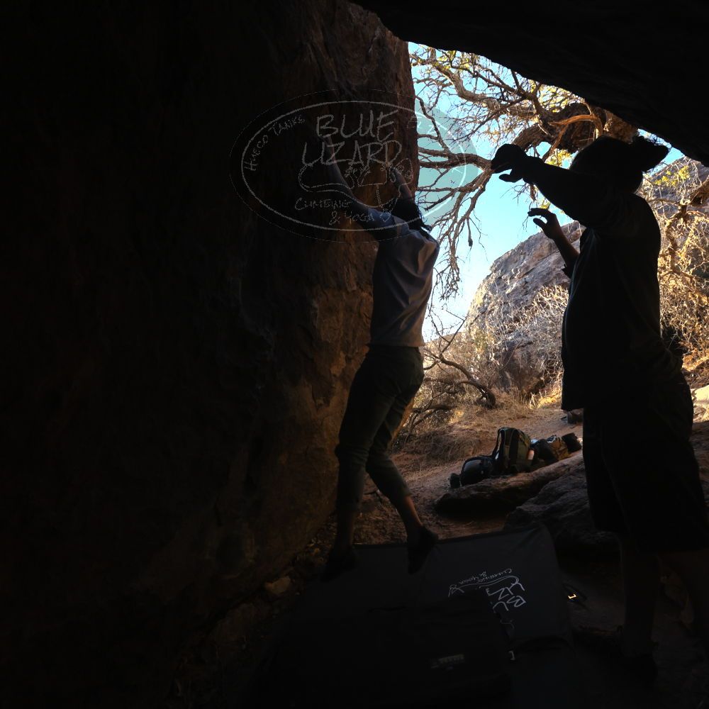 

Filename: SRM_20220220_1702221.jpg
Aperture: f/5.6
Shutter Speed: 1/400
Body: Canon EOS R6
Lens: Canon EF 16-35mm f/2.8 L