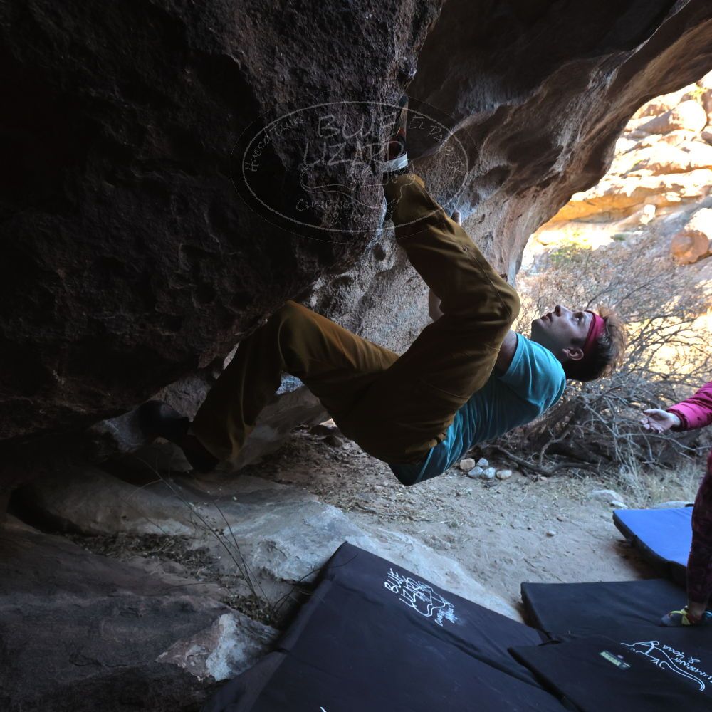 

Filename: SRM_20220220_1704520.jpg
Aperture: f/5.6
Shutter Speed: 1/400
Body: Canon EOS R6
Lens: Canon EF 16-35mm f/2.8 L