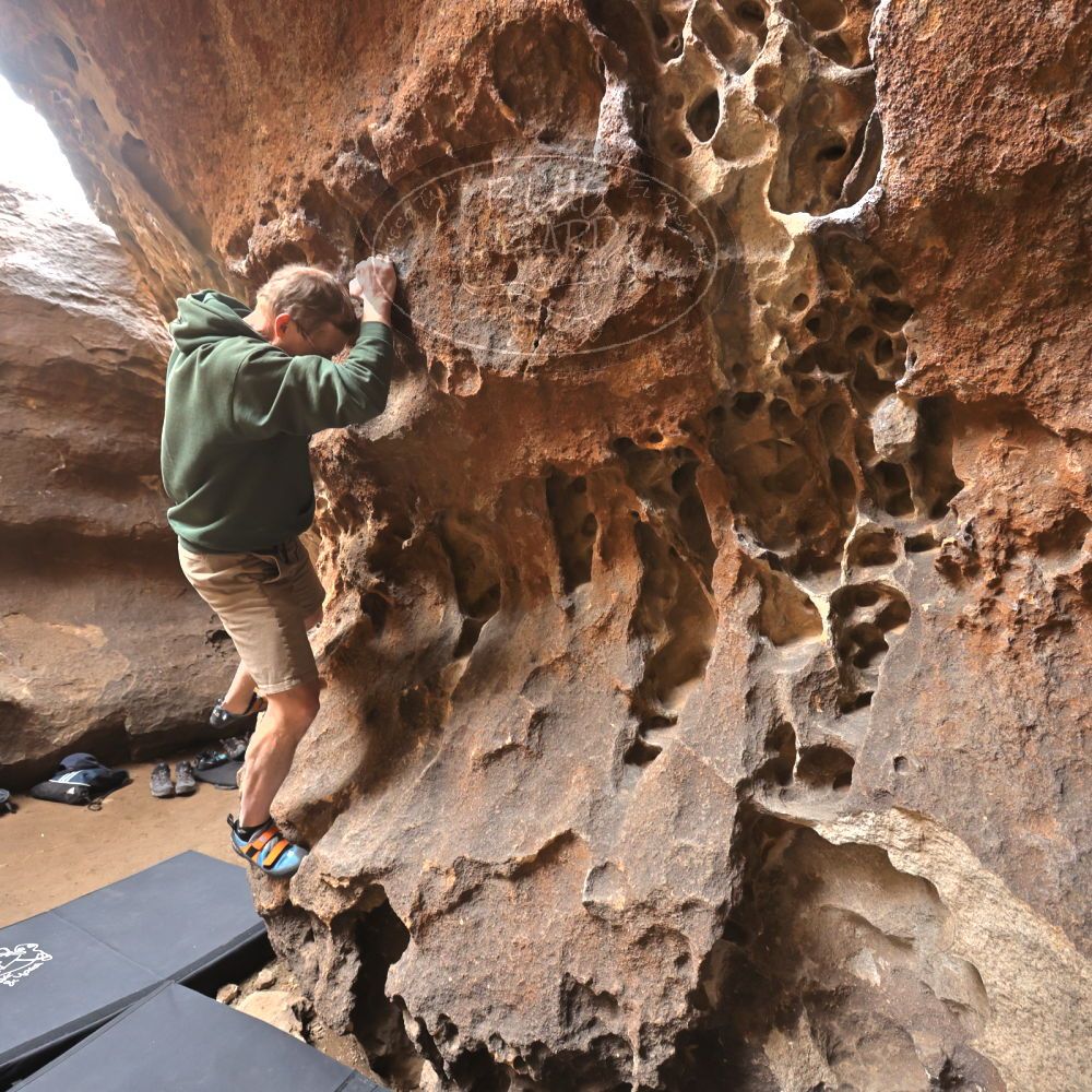 

Filename: SRM_20220225_1317590.jpg
Aperture: f/5.6
Shutter Speed: 1/125
Body: Canon EOS R6
Lens: Canon EF 16-35mm f/2.8 L