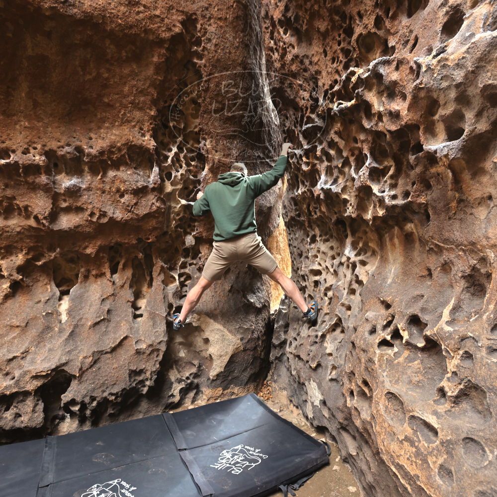 

Filename: SRM_20220225_1319030.jpg
Aperture: f/5.6
Shutter Speed: 1/125
Body: Canon EOS R6
Lens: Canon EF 16-35mm f/2.8 L