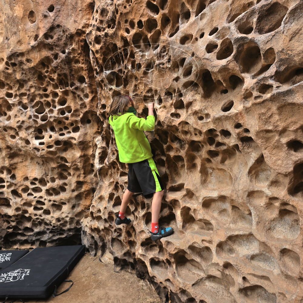 

Filename: SRM_20220225_1333180.jpg
Aperture: f/5.6
Shutter Speed: 1/160
Body: Canon EOS R6
Lens: Canon EF 16-35mm f/2.8 L