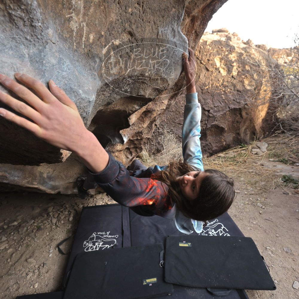 

Filename: SRM_20220225_1658390.jpg
Aperture: f/5.6
Shutter Speed: 1/250
Body: Canon EOS R6
Lens: Canon EF 16-35mm f/2.8 L