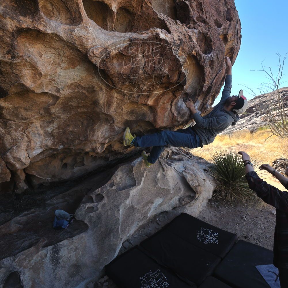 

Filename: SRM_20220226_1012160.jpg
Aperture: f/5.6
Shutter Speed: 1/250
Body: Canon EOS R6
Lens: Canon EF 16-35mm f/2.8 L