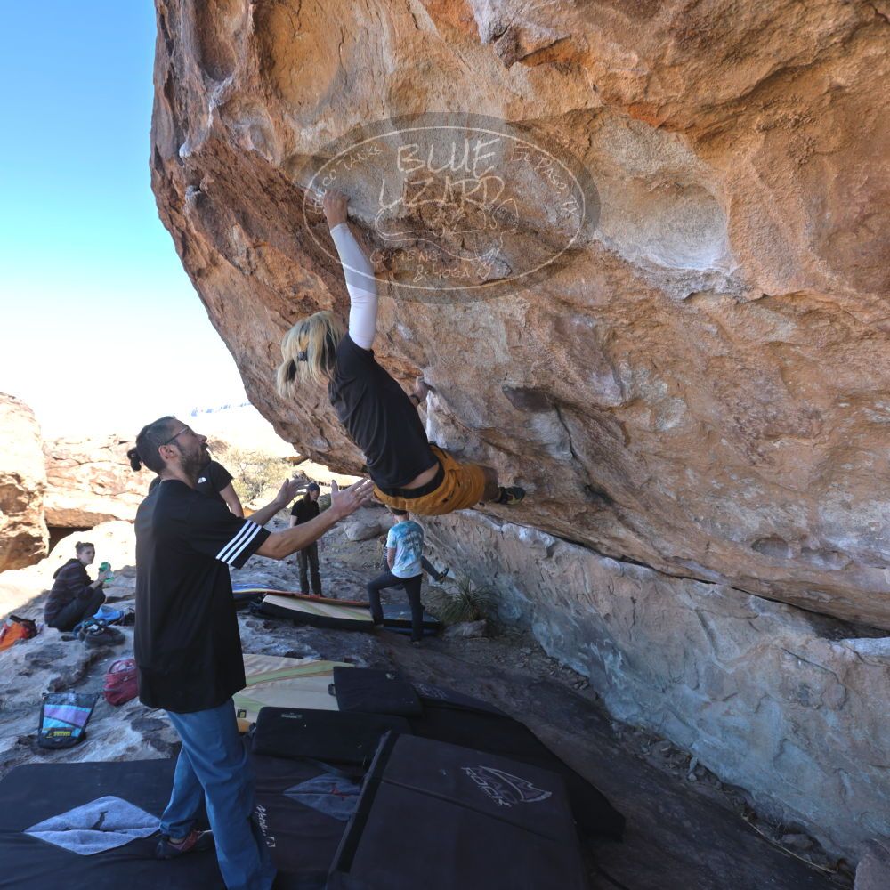 

Filename: SRM_20220226_1026430.jpg
Aperture: f/5.6
Shutter Speed: 1/250
Body: Canon EOS R6
Lens: Canon EF 16-35mm f/2.8 L