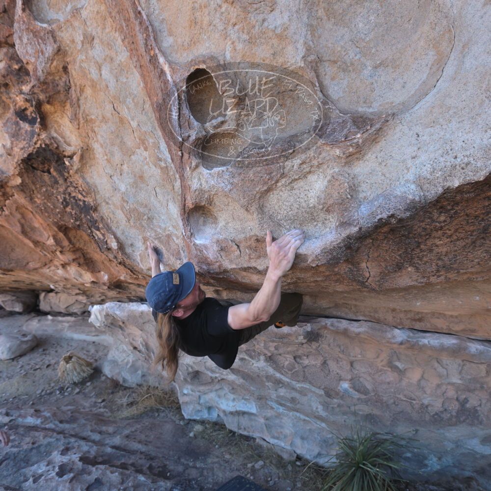 

Filename: SRM_20220226_1027280.jpg
Aperture: f/5.6
Shutter Speed: 1/250
Body: Canon EOS R6
Lens: Canon EF 16-35mm f/2.8 L