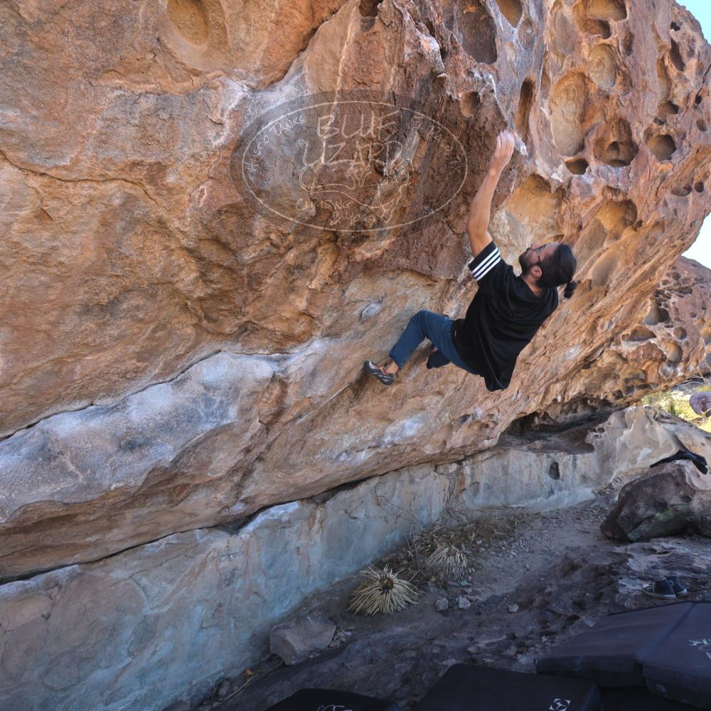 

Filename: SRM_20220226_1029550.jpg
Aperture: f/5.6
Shutter Speed: 1/250
Body: Canon EOS R6
Lens: Canon EF 16-35mm f/2.8 L