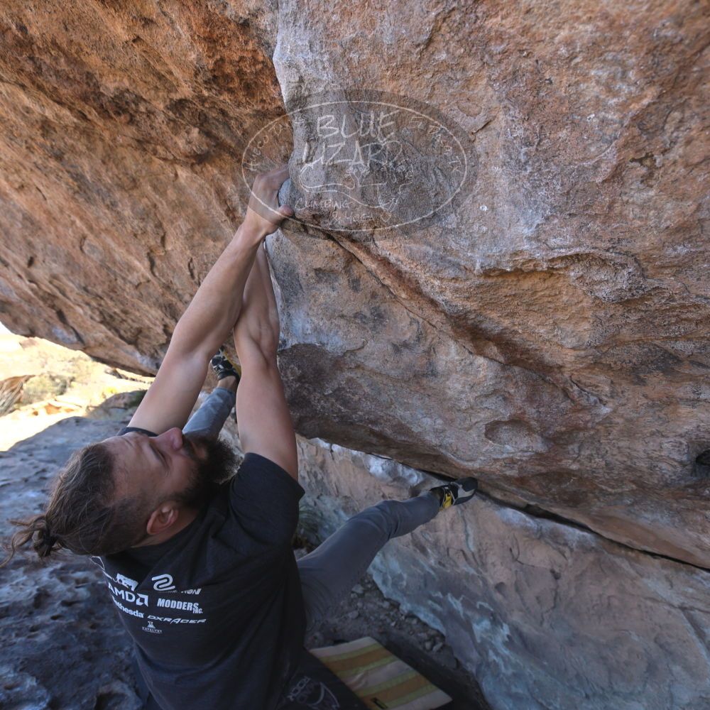 

Filename: SRM_20220226_1059380.jpg
Aperture: f/5.6
Shutter Speed: 1/250
Body: Canon EOS R6
Lens: Canon EF 16-35mm f/2.8 L