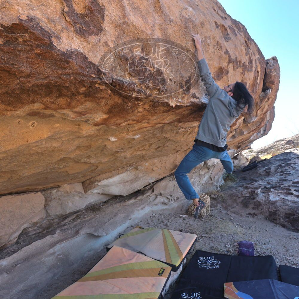 

Filename: SRM_20220226_1125470.jpg
Aperture: f/5.6
Shutter Speed: 1/250
Body: Canon EOS R6
Lens: Canon EF 16-35mm f/2.8 L