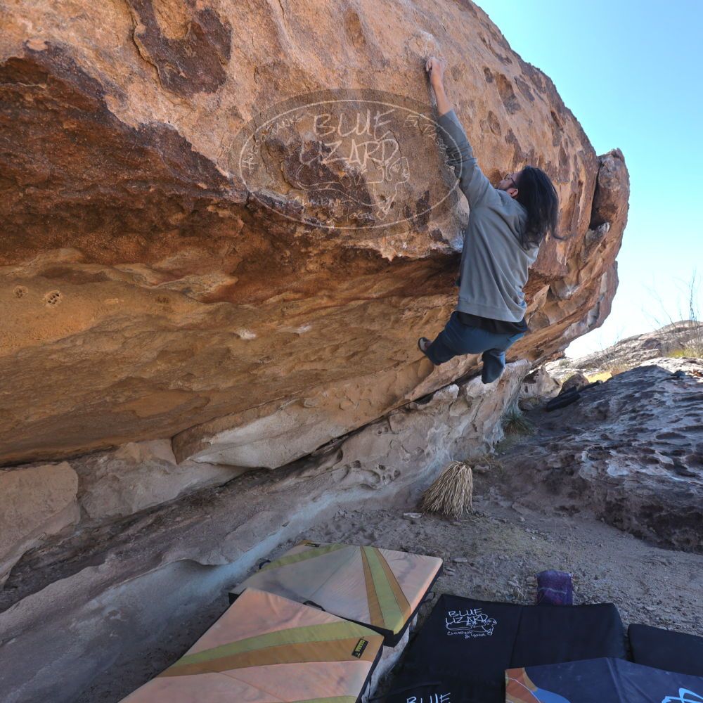 

Filename: SRM_20220226_1125501.jpg
Aperture: f/5.6
Shutter Speed: 1/250
Body: Canon EOS R6
Lens: Canon EF 16-35mm f/2.8 L