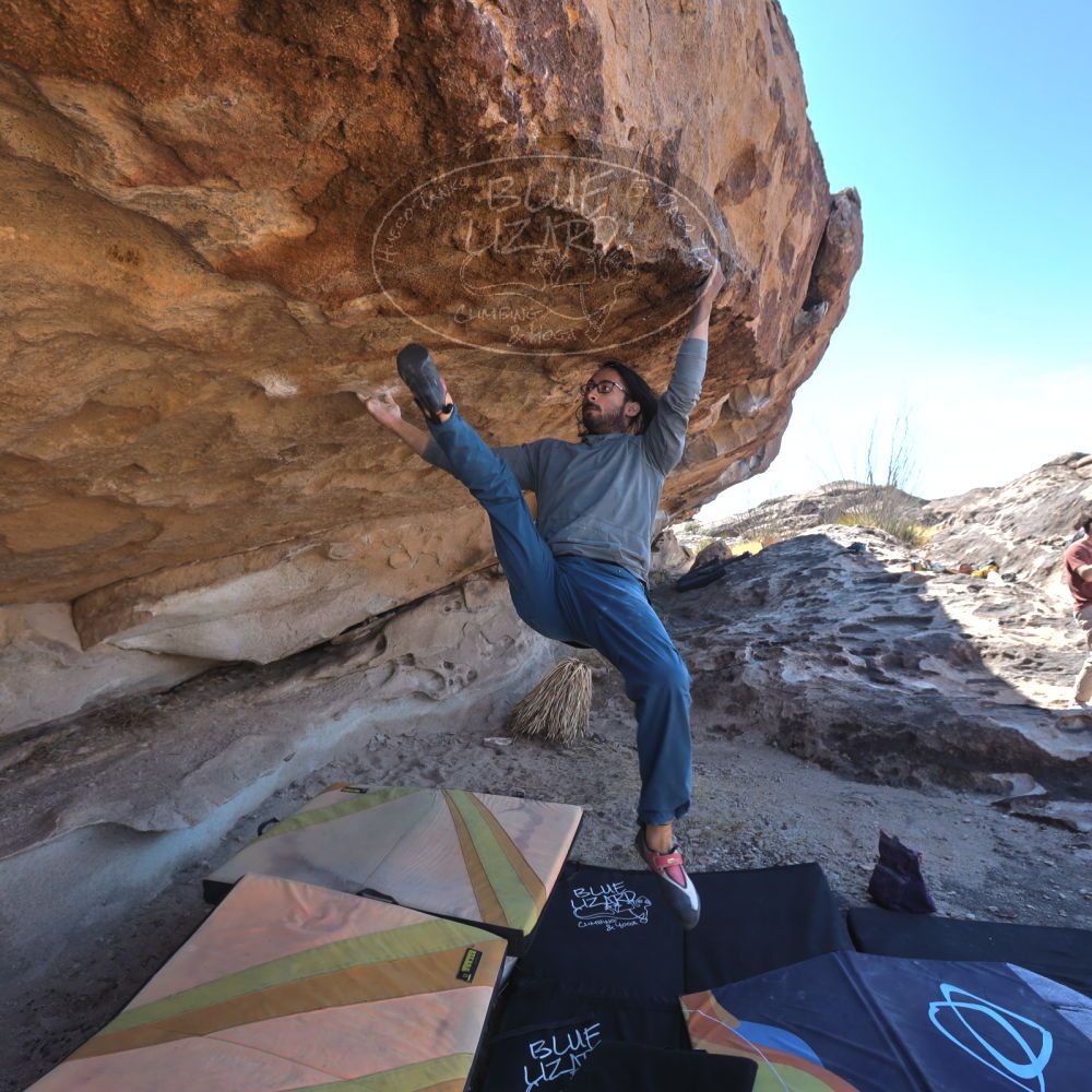 

Filename: SRM_20220226_1128500.jpg
Aperture: f/5.6
Shutter Speed: 1/250
Body: Canon EOS R6
Lens: Canon EF 16-35mm f/2.8 L