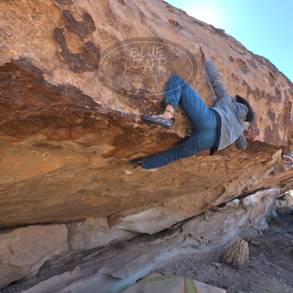 

Filename: SRM_20220226_1129050.jpg
Aperture: f/5.6
Shutter Speed: 1/250
Body: Canon EOS R6
Lens: Canon EF 16-35mm f/2.8 L