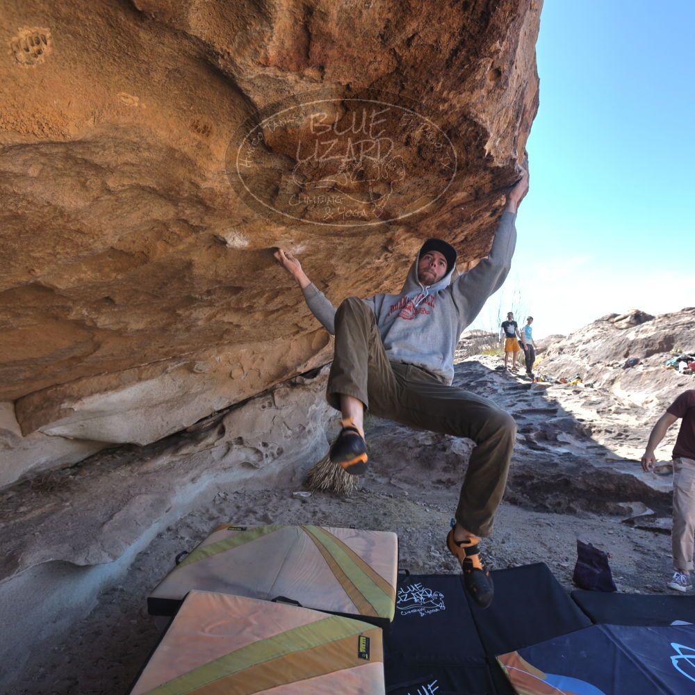 

Filename: SRM_20220226_1130200.jpg
Aperture: f/5.6
Shutter Speed: 1/250
Body: Canon EOS R6
Lens: Canon EF 16-35mm f/2.8 L