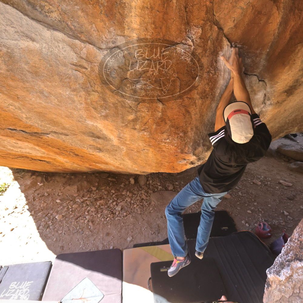 

Filename: SRM_20220226_1201200.jpg
Aperture: f/8.0
Shutter Speed: 1/1000
Body: Canon EOS R6
Lens: Canon EF 16-35mm f/2.8 L