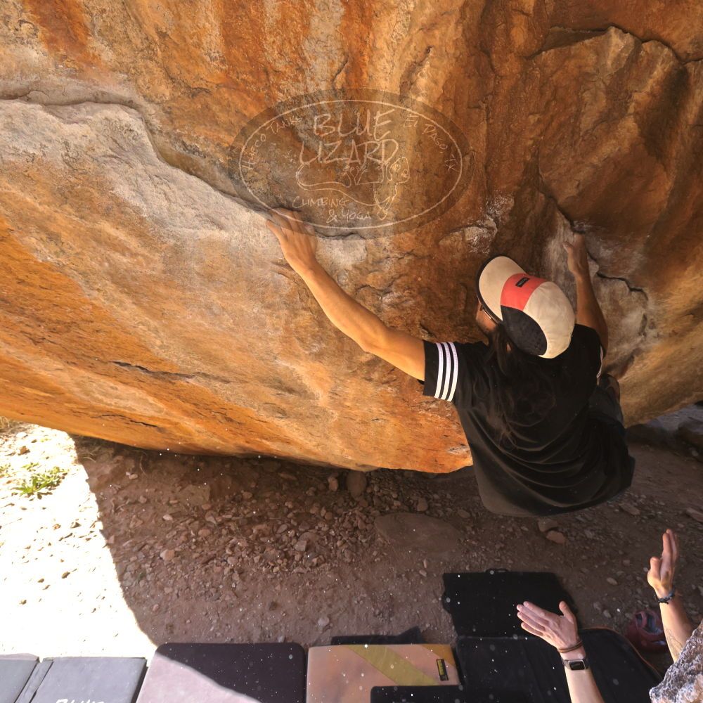 

Filename: SRM_20220226_1201250.jpg
Aperture: f/8.0
Shutter Speed: 1/1000
Body: Canon EOS R6
Lens: Canon EF 16-35mm f/2.8 L