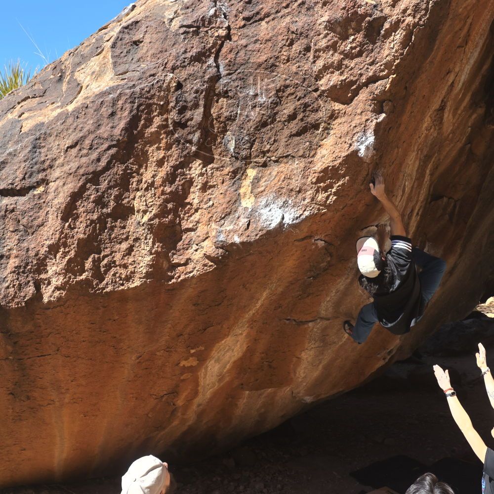 

Filename: SRM_20220226_1201390.jpg
Aperture: f/8.0
Shutter Speed: 1/1000
Body: Canon EOS R6
Lens: Canon EF 16-35mm f/2.8 L