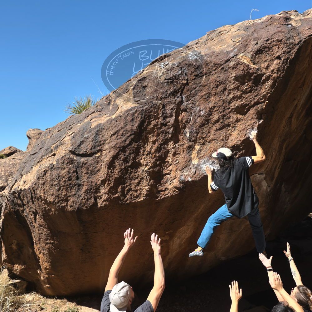 

Filename: SRM_20220226_1201450.jpg
Aperture: f/8.0
Shutter Speed: 1/1000
Body: Canon EOS R6
Lens: Canon EF 16-35mm f/2.8 L