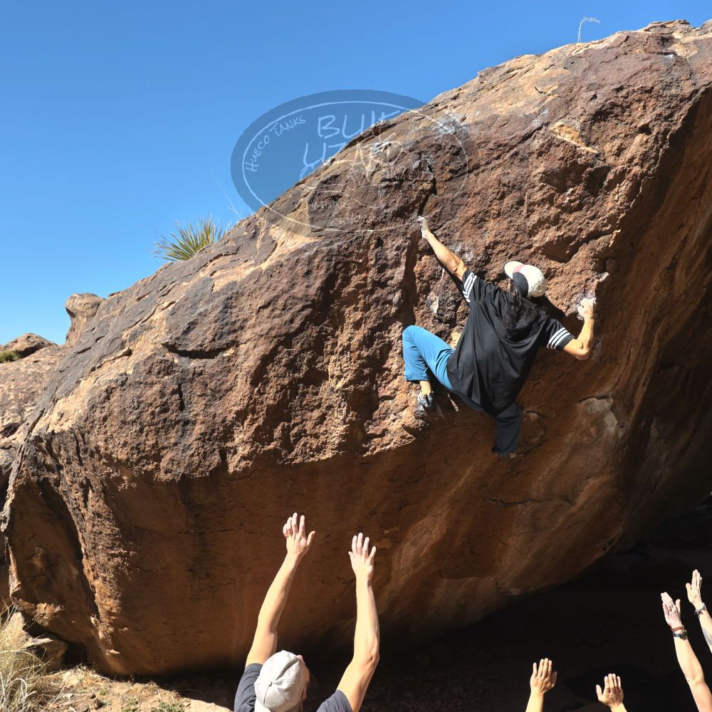 

Filename: SRM_20220226_1201490.jpg
Aperture: f/8.0
Shutter Speed: 1/1000
Body: Canon EOS R6
Lens: Canon EF 16-35mm f/2.8 L