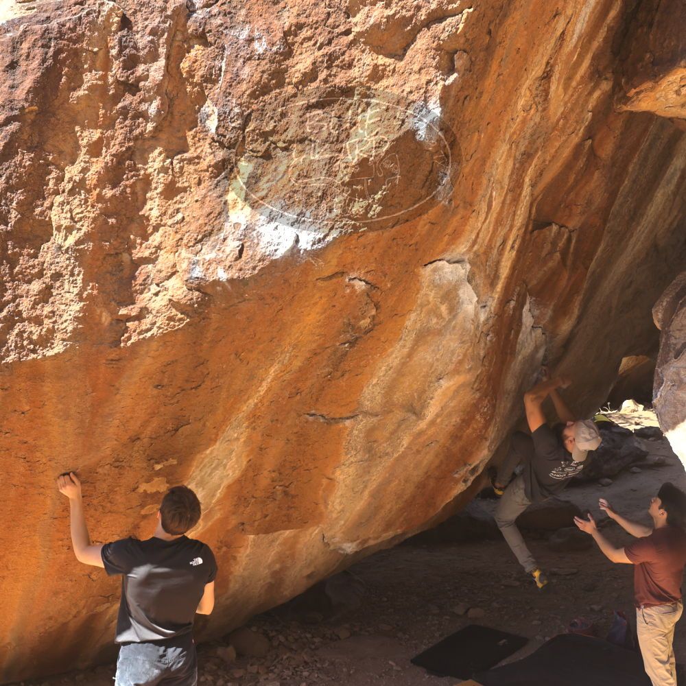 

Filename: SRM_20220226_1213320.jpg
Aperture: f/5.6
Shutter Speed: 1/400
Body: Canon EOS R6
Lens: Canon EF 16-35mm f/2.8 L