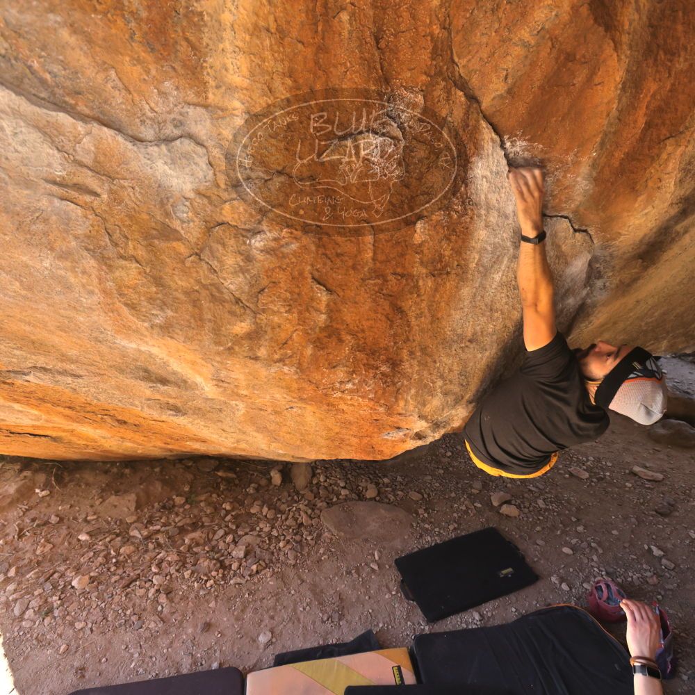 

Filename: SRM_20220226_1215101.jpg
Aperture: f/5.6
Shutter Speed: 1/400
Body: Canon EOS R6
Lens: Canon EF 16-35mm f/2.8 L