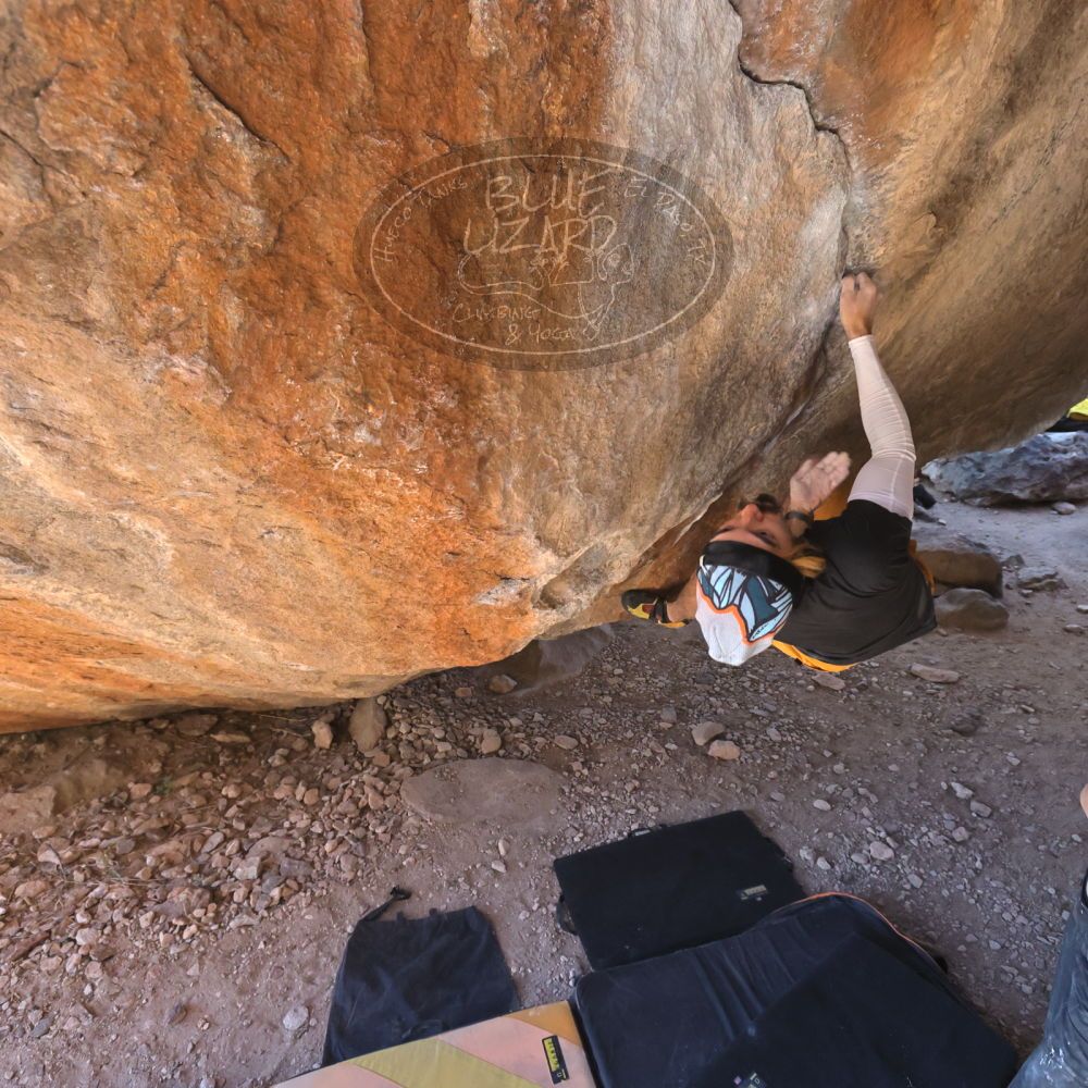 

Filename: SRM_20220226_1243190.jpg
Aperture: f/5.6
Shutter Speed: 1/400
Body: Canon EOS R6
Lens: Canon EF 16-35mm f/2.8 L