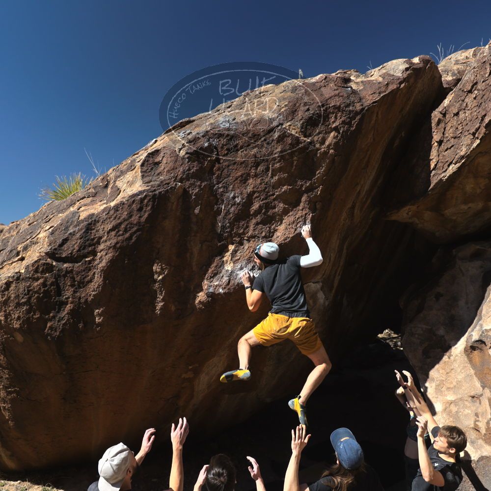 

Filename: SRM_20220226_1244030.jpg
Aperture: f/5.6
Shutter Speed: 1/400
Body: Canon EOS R6
Lens: Canon EF 16-35mm f/2.8 L