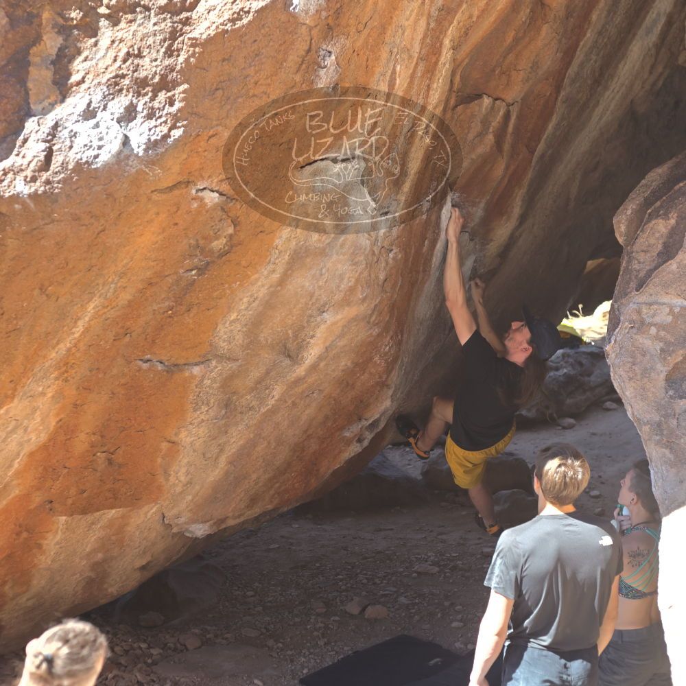 

Filename: SRM_20220226_1301400.jpg
Aperture: f/4.0
Shutter Speed: 1/400
Body: Canon EOS R6
Lens: Canon EF 50mm f/1.8 II