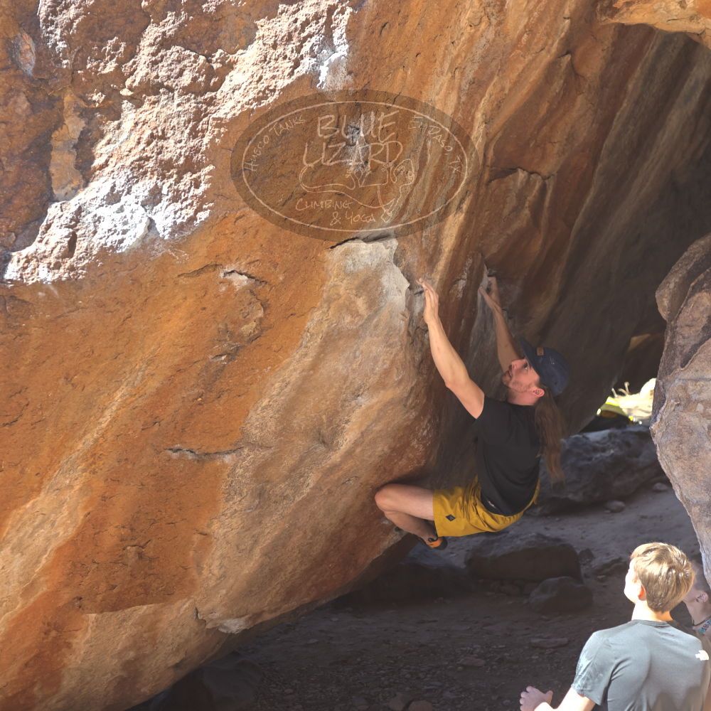 

Filename: SRM_20220226_1301480.jpg
Aperture: f/4.0
Shutter Speed: 1/400
Body: Canon EOS R6
Lens: Canon EF 50mm f/1.8 II