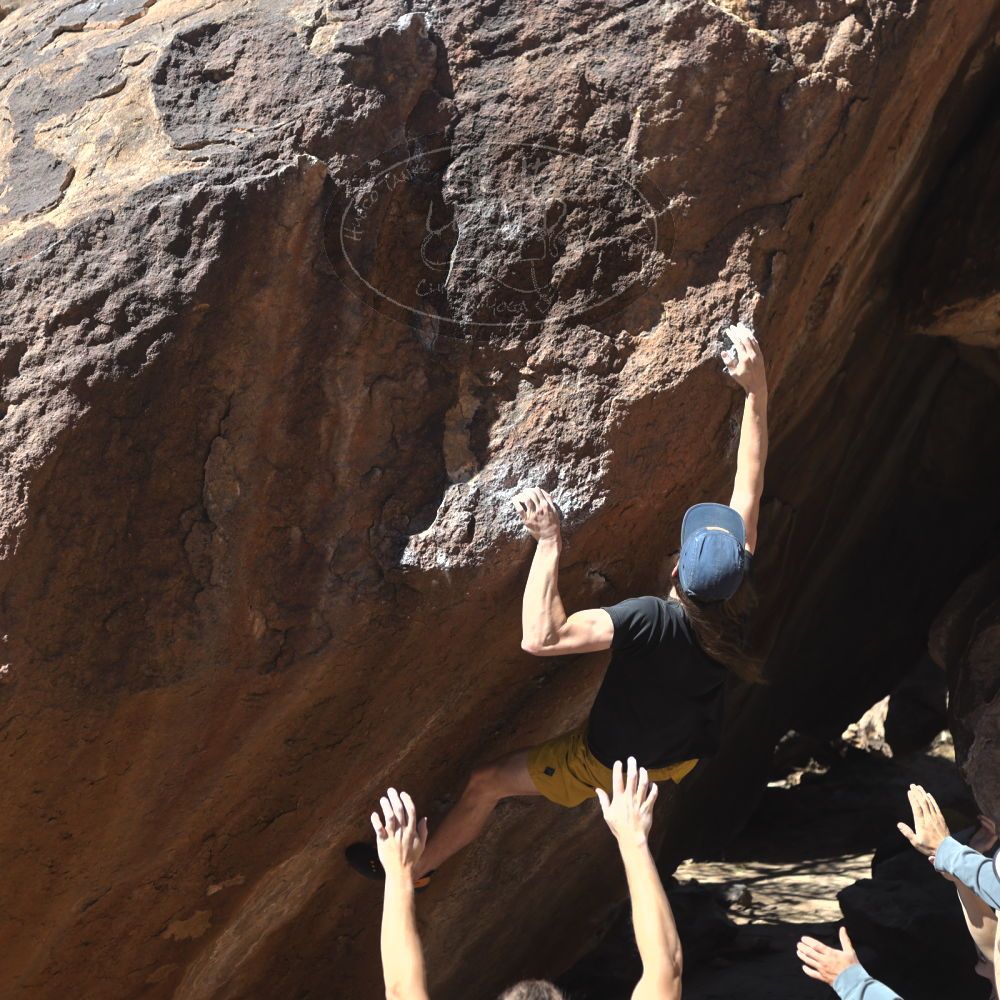 

Filename: SRM_20220226_1302190.jpg
Aperture: f/4.0
Shutter Speed: 1/400
Body: Canon EOS R6
Lens: Canon EF 50mm f/1.8 II