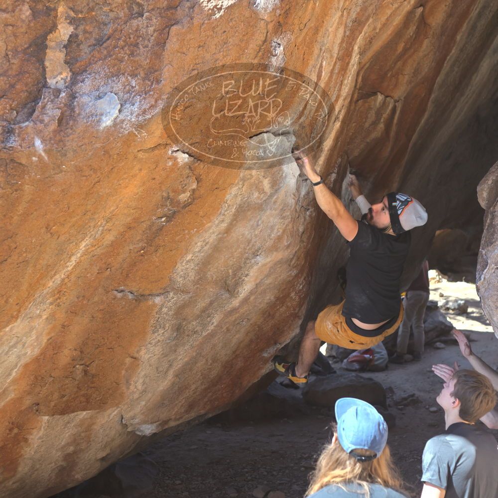 

Filename: SRM_20220226_1323040.jpg
Aperture: f/4.0
Shutter Speed: 1/400
Body: Canon EOS R6
Lens: Canon EF 50mm f/1.8 II