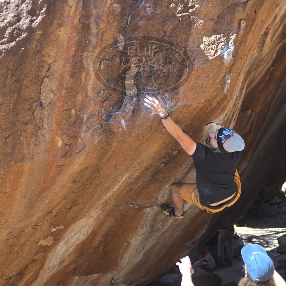 

Filename: SRM_20220226_1323250.jpg
Aperture: f/4.0
Shutter Speed: 1/400
Body: Canon EOS R6
Lens: Canon EF 50mm f/1.8 II