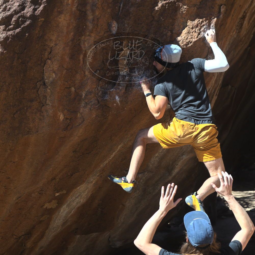 

Filename: SRM_20220226_1323350.jpg
Aperture: f/4.0
Shutter Speed: 1/400
Body: Canon EOS R6
Lens: Canon EF 50mm f/1.8 II