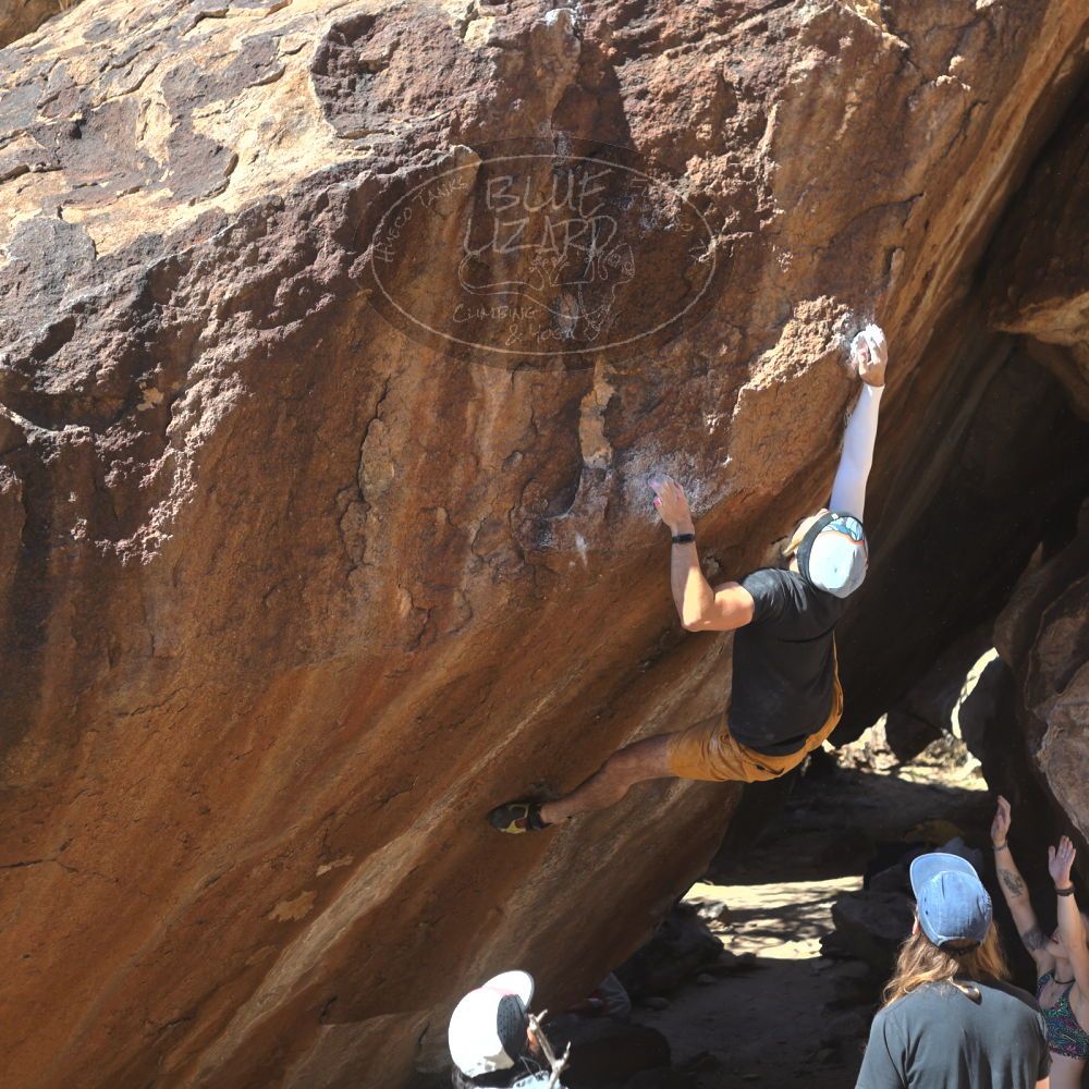 

Filename: SRM_20220226_1334540.jpg
Aperture: f/4.0
Shutter Speed: 1/400
Body: Canon EOS R6
Lens: Canon EF 50mm f/1.8 II