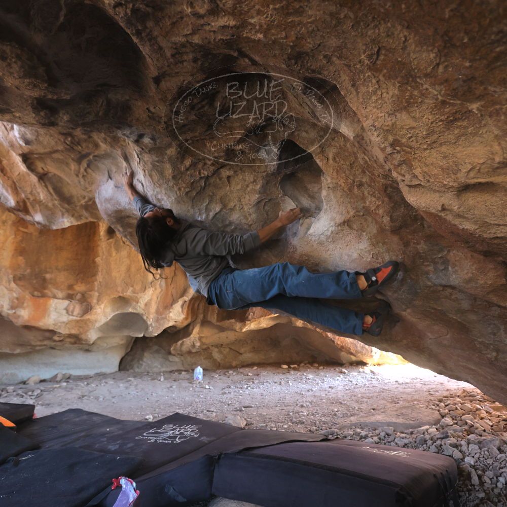 

Filename: SRM_20220226_1359250.jpg
Aperture: f/4.0
Shutter Speed: 1/400
Body: Canon EOS R6
Lens: Canon EF 16-35mm f/2.8 L