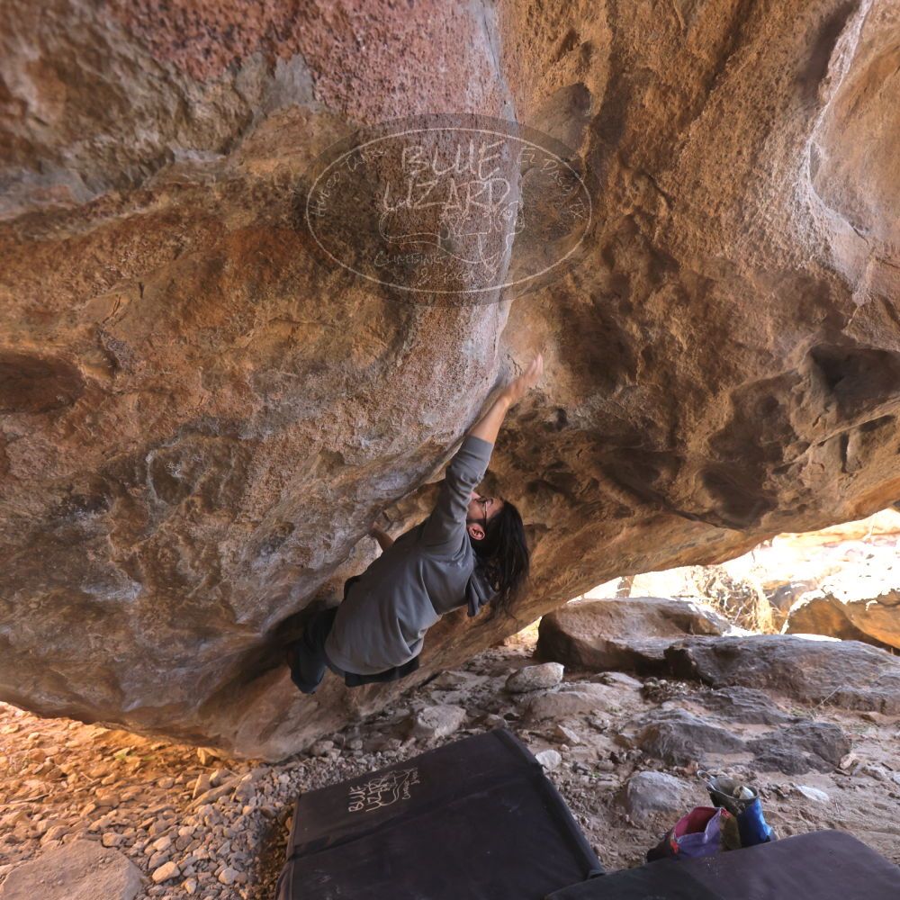 

Filename: SRM_20220226_1409590.jpg
Aperture: f/4.0
Shutter Speed: 1/250
Body: Canon EOS R6
Lens: Canon EF 16-35mm f/2.8 L