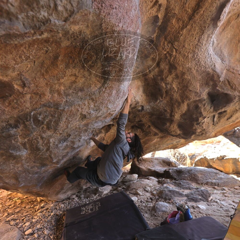 

Filename: SRM_20220226_1410000.jpg
Aperture: f/4.0
Shutter Speed: 1/250
Body: Canon EOS R6
Lens: Canon EF 16-35mm f/2.8 L