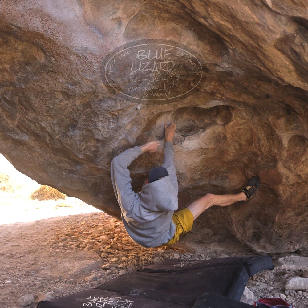 

Filename: SRM_20220226_1413520.jpg
Aperture: f/3.5
Shutter Speed: 1/250
Body: Canon EOS R6
Lens: Canon EF 16-35mm f/2.8 L