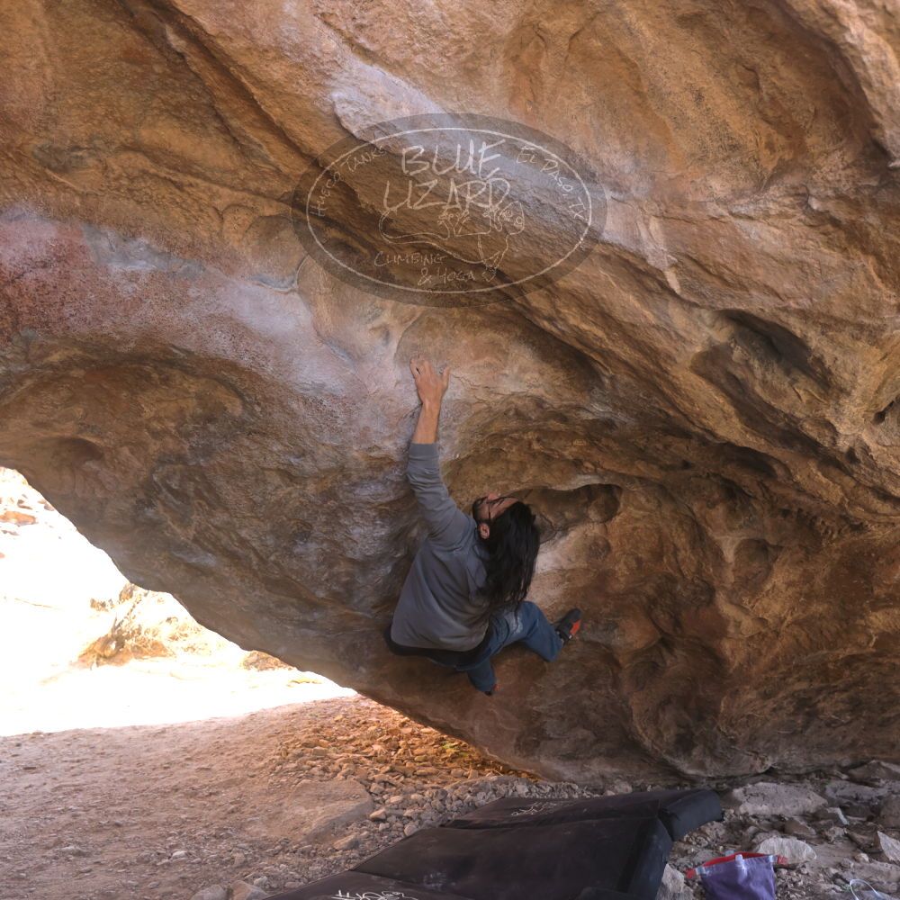 

Filename: SRM_20220226_1414550.jpg
Aperture: f/3.5
Shutter Speed: 1/250
Body: Canon EOS R6
Lens: Canon EF 16-35mm f/2.8 L